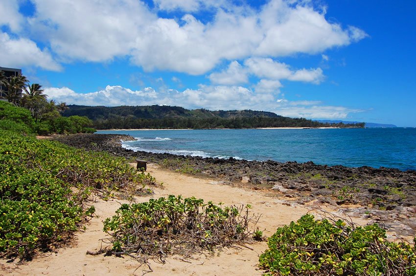 View to Turtle Bay Beach