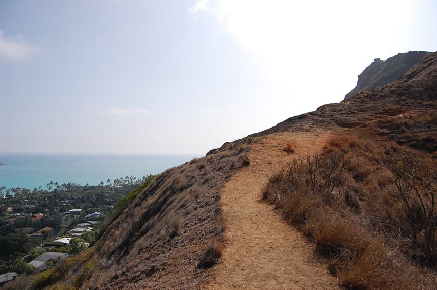 Scenic view from the trail