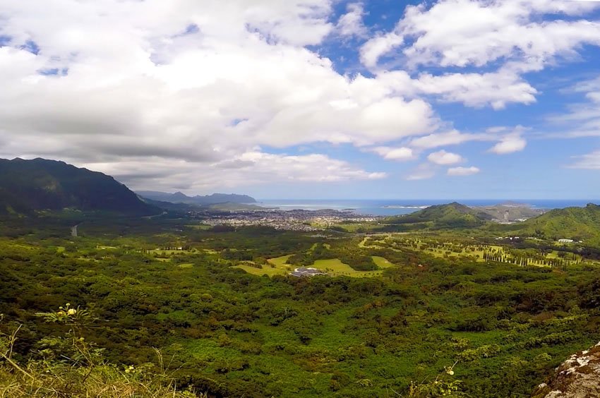 Scenic Oahu lookout