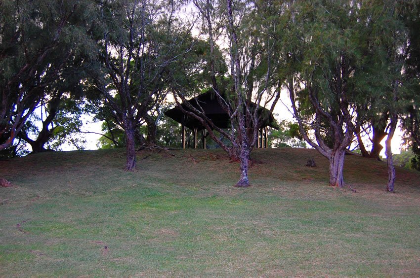 Pu'u Ualaka'a State Park picnic area