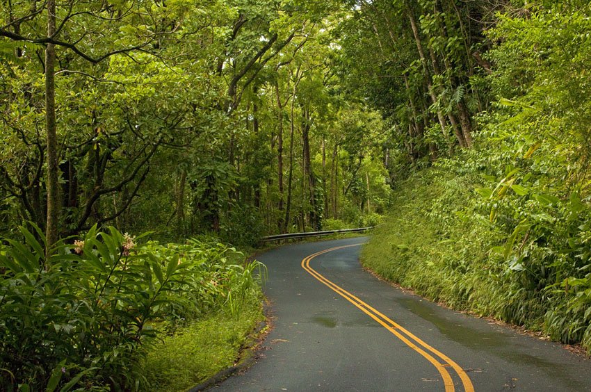 Tantalus-Round Top Road