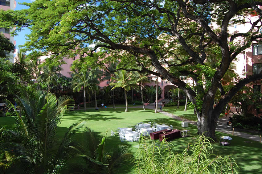 View to the Royal Hawaiian Hotel