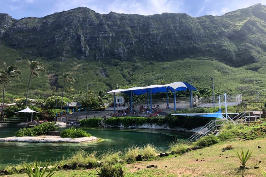 Sea Life Park on Oahu