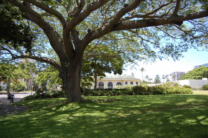 Downtown Honolulu