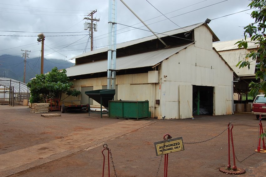 Waialua Estate farm tour