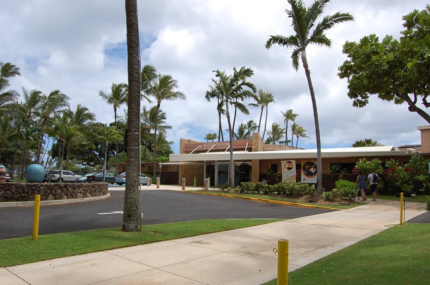 Waikiki Aquarium