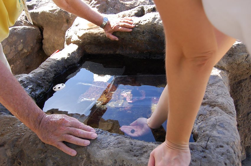 Holding a small crab