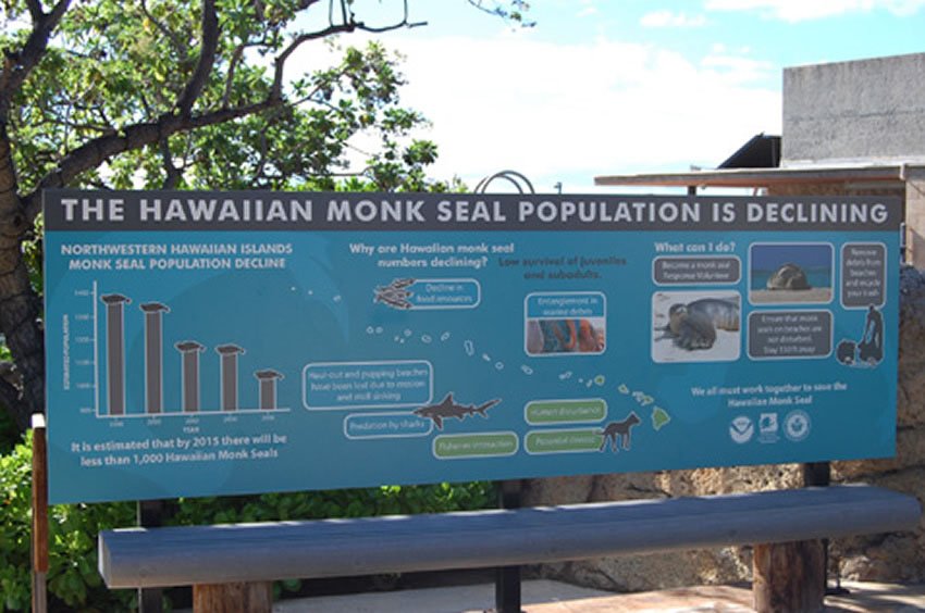 Waikiki Aquarium on Oahu