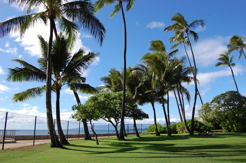 Located on Waikiki Beach