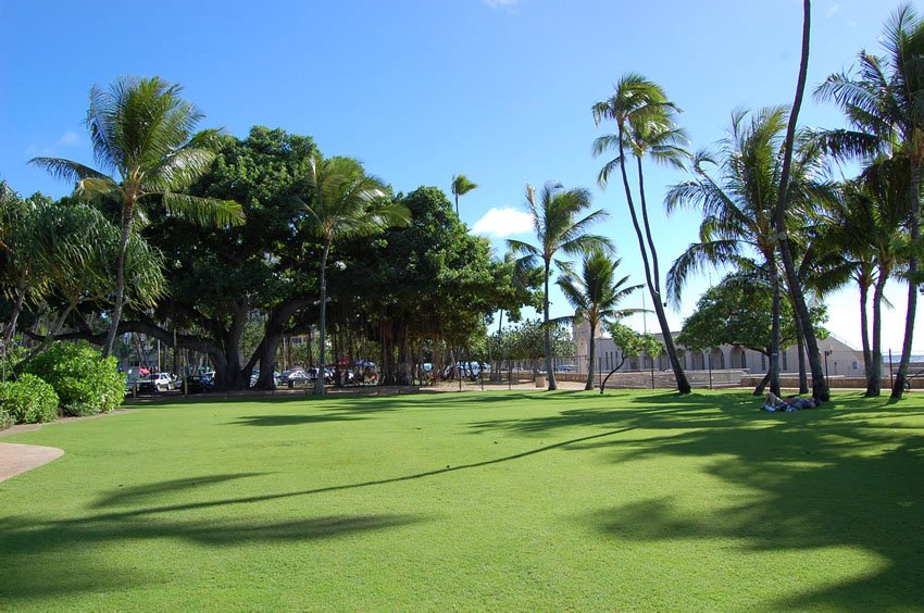 Small park in the Waikiki Aquarium