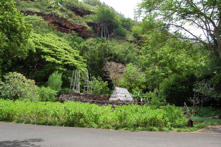 Hale o Lono Heiau