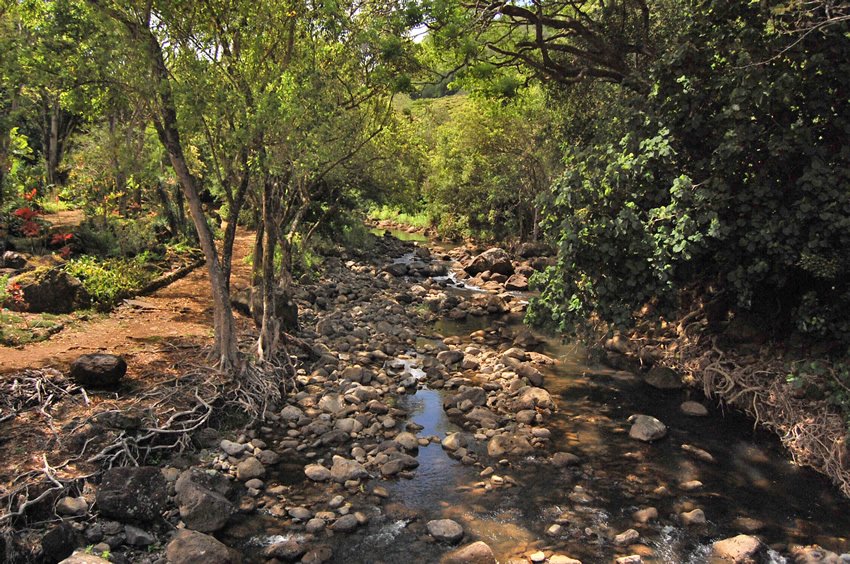 Kamananui Stream