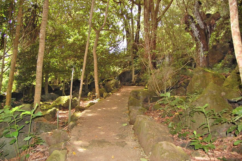 Scenic trail in Waimea Valley