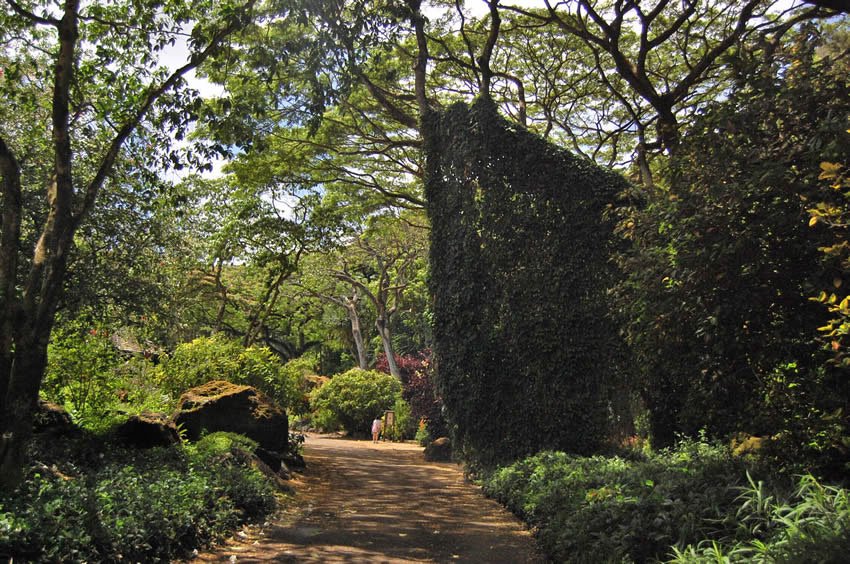 Waimea Valley on Oahu