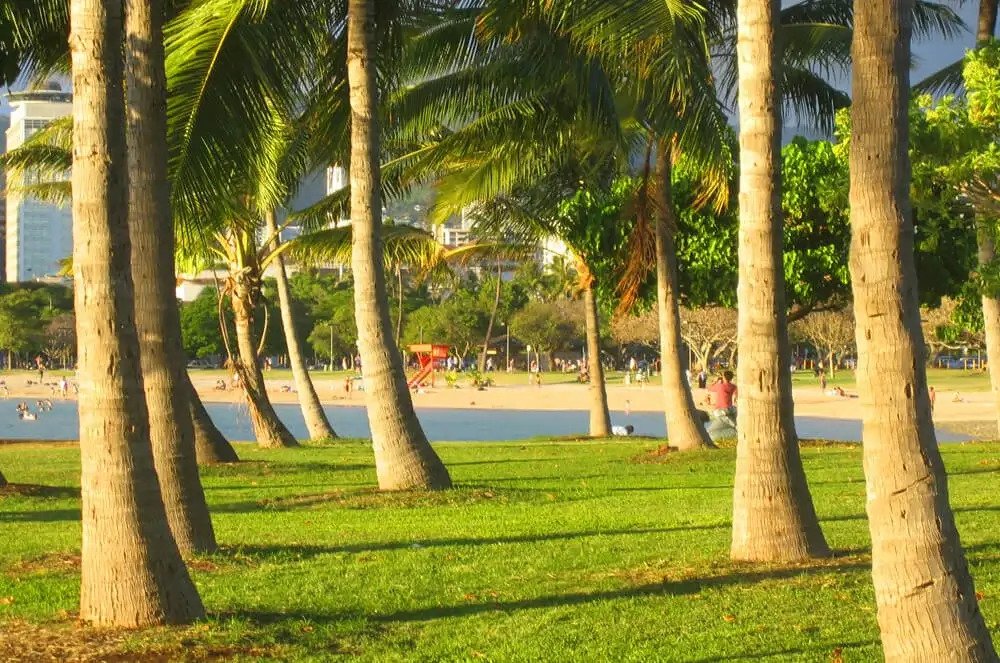 Beach Park