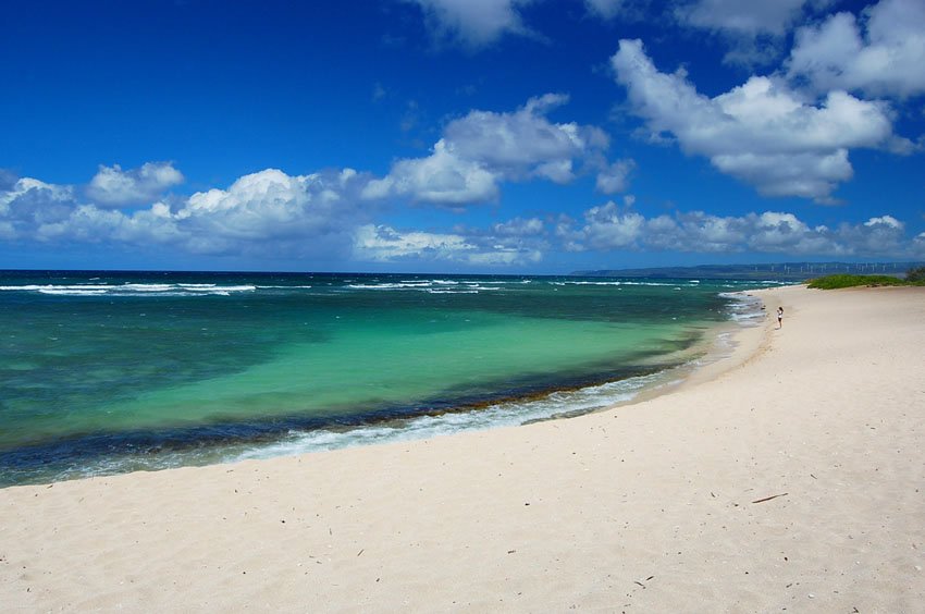 Army Beach on Oahu