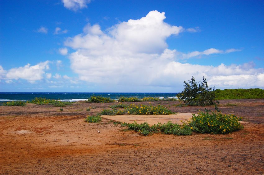 Beach scenery