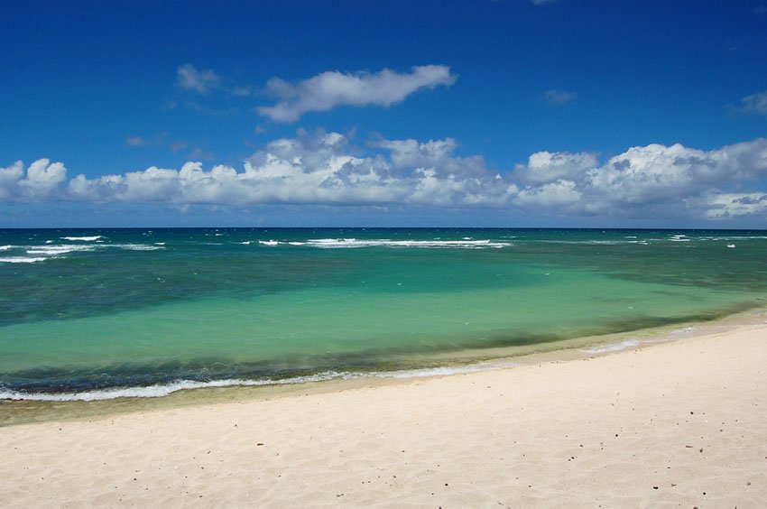 Sandy beach on Oahu's north shore