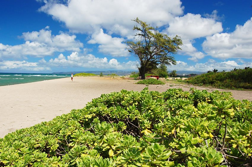 Scenic beach