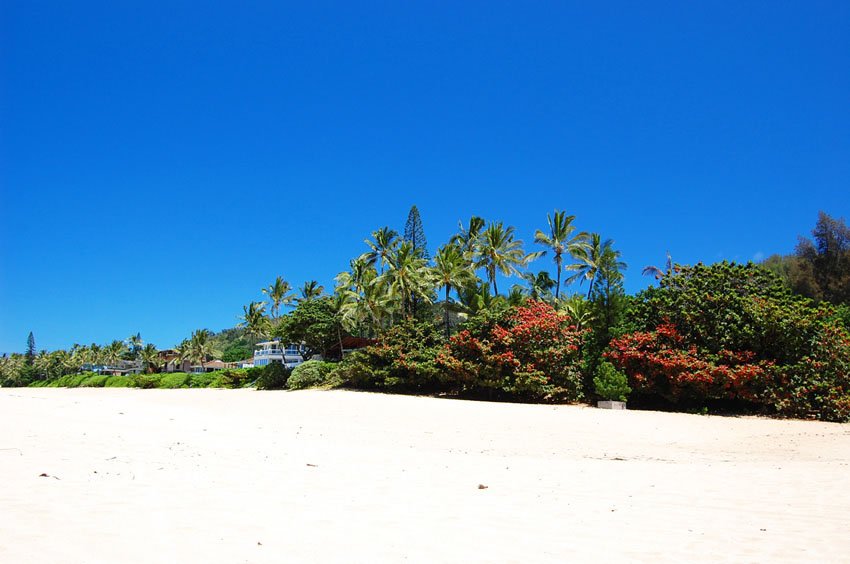 Beachfront homes