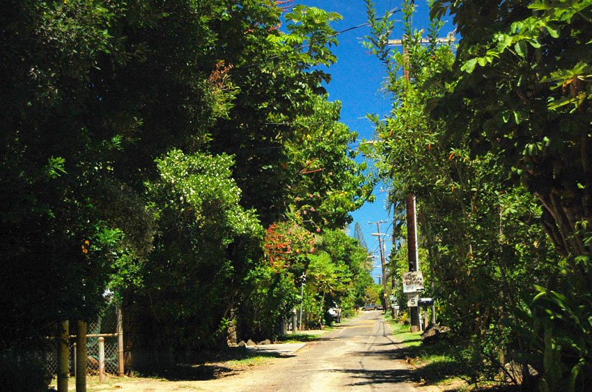 Narrow street leads to a small parking lot