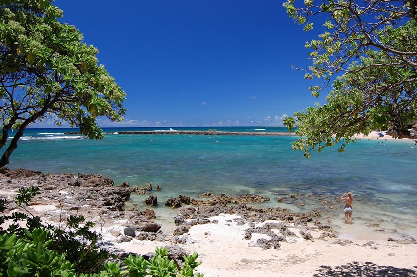 View from Turtle Bay Resort