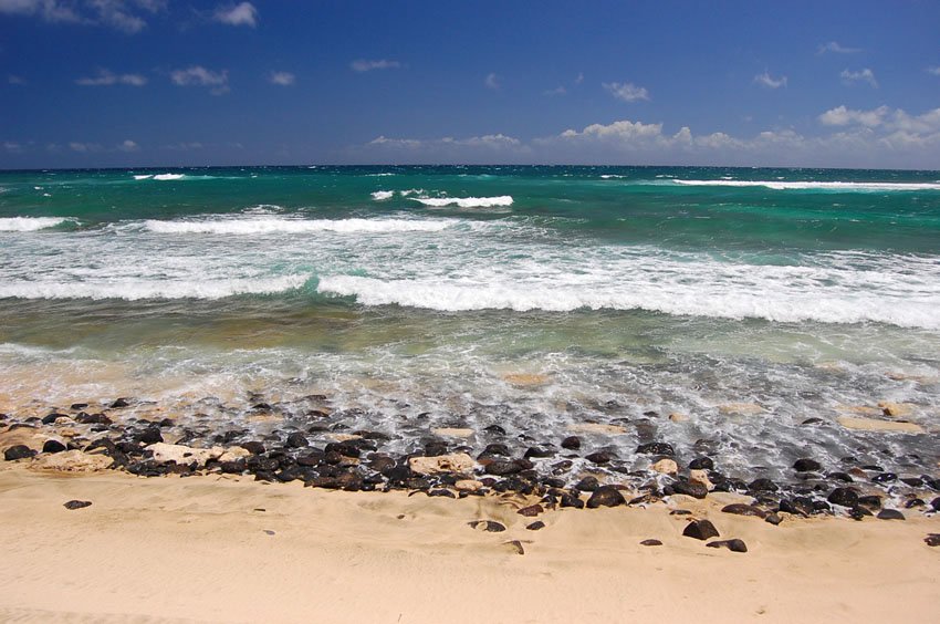 Black lava rocks on shore