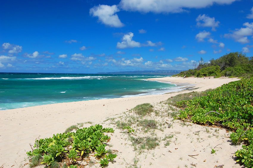 Camp Erdman Beach