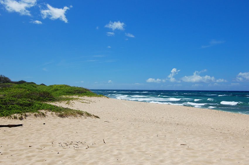 Uncrowded beach on North Shore