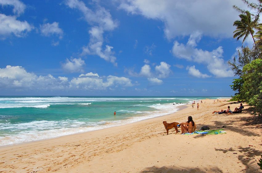 Looking towards Kawailoa Beach