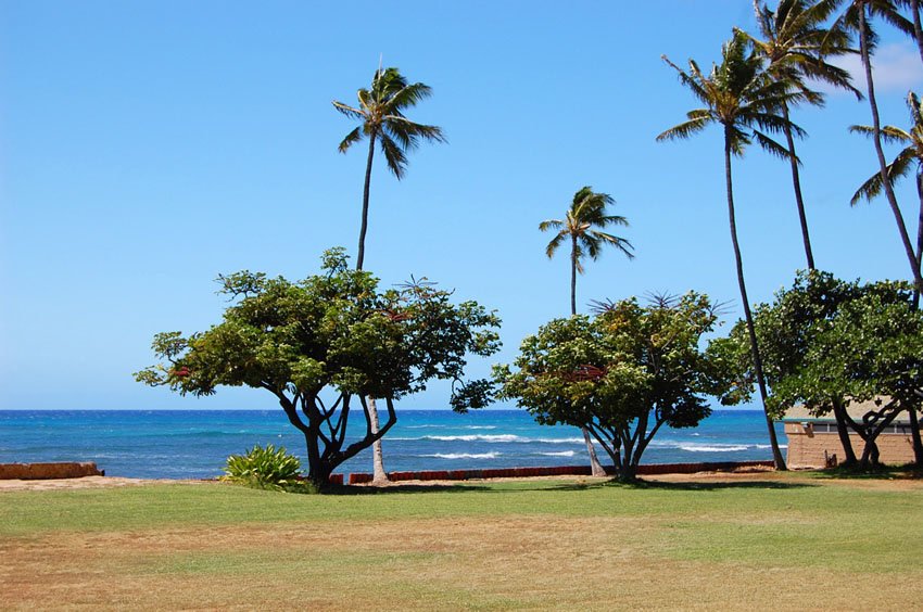 Scenic park near Diamond Head