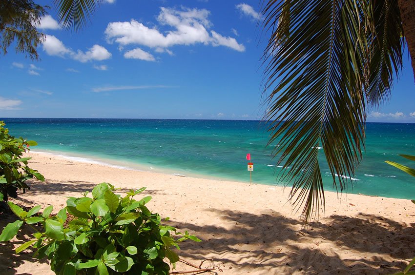 Ehukai Beach Park on Oahu