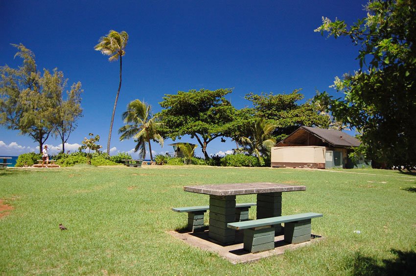 Ehukai Beach Park