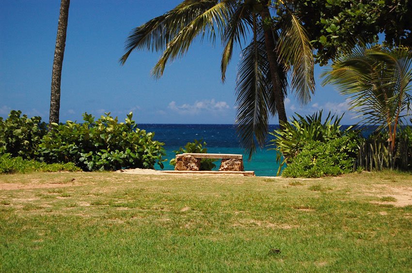 Bench with ocean view