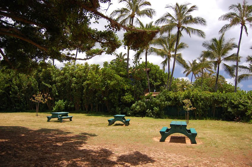 Picnic tables