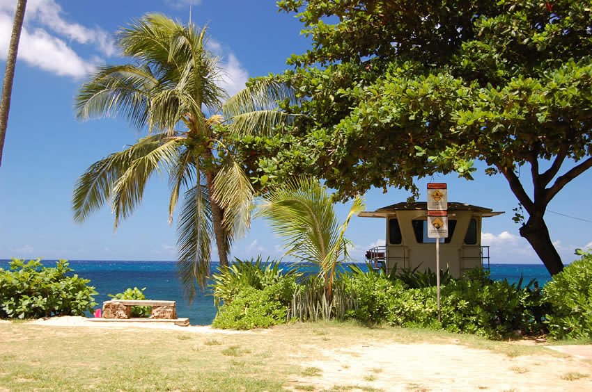 Scenic North Shore Oahu