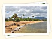 Hale'iwa Ali'i Beach Park