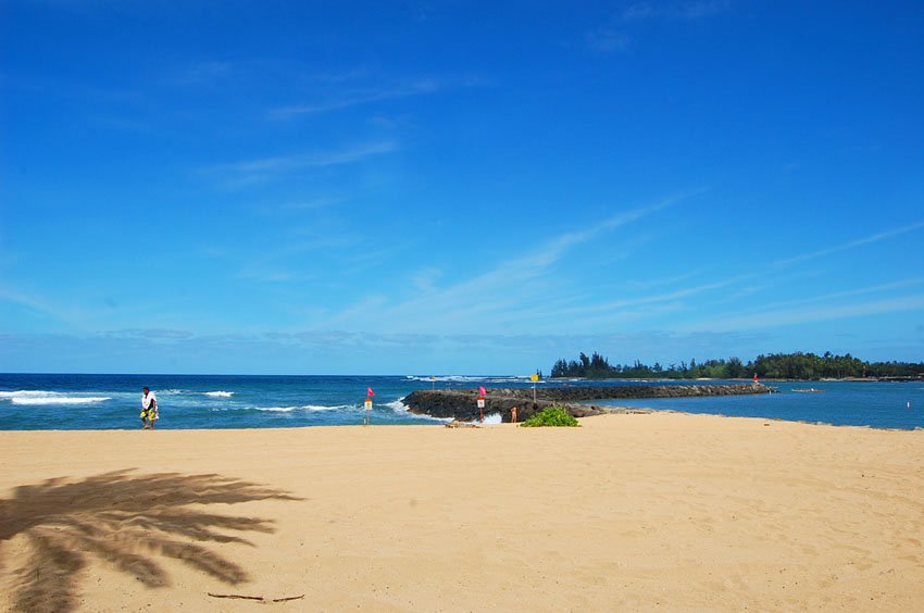 Sunny day on North Shore Oahu