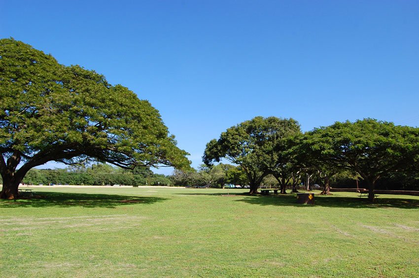 Large beach park on Oahu's north coast