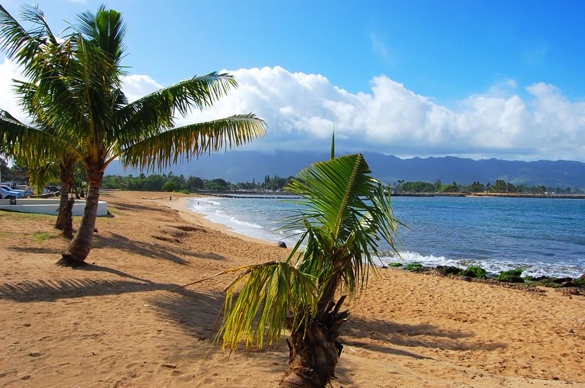 Haleiwa Beach Park