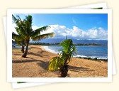 Haleiwa Beach Park