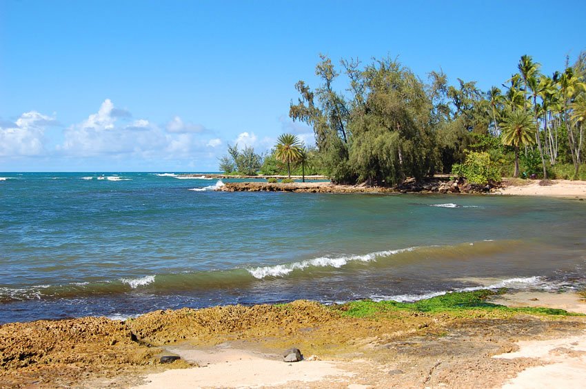 View to Pua'ena Point