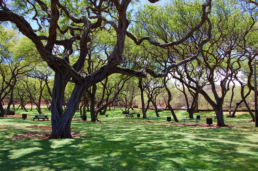 Hanauma Bay park