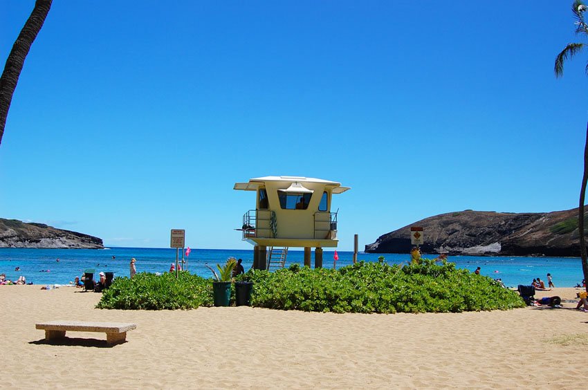 Lifeguard tower