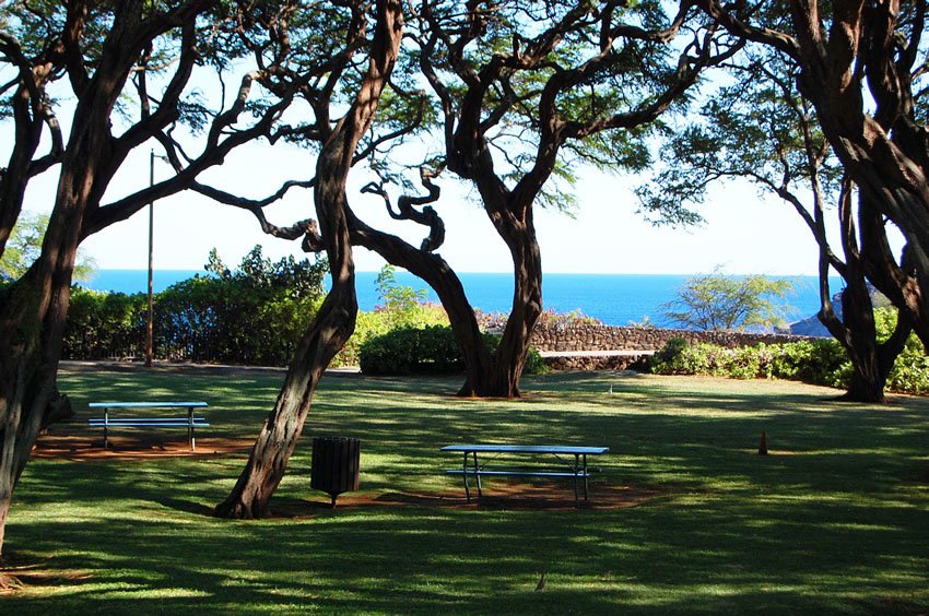 Park overlooking the ocean