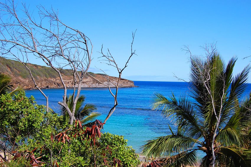 View from a beach trail