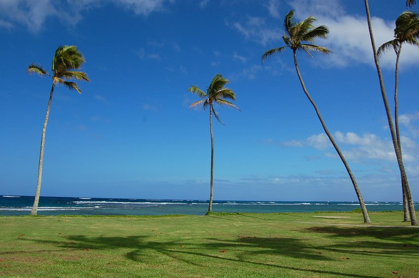 Hau'ula scenic view