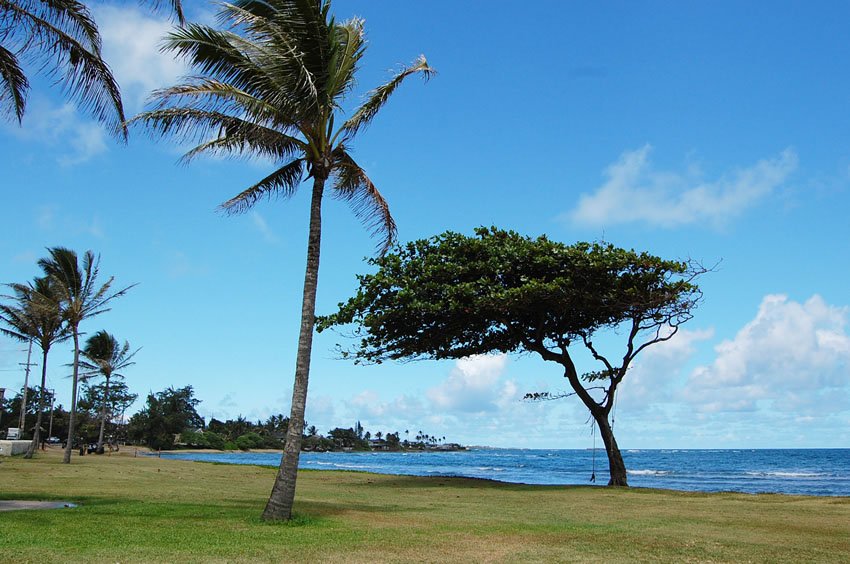 Hau'ula beachfront park