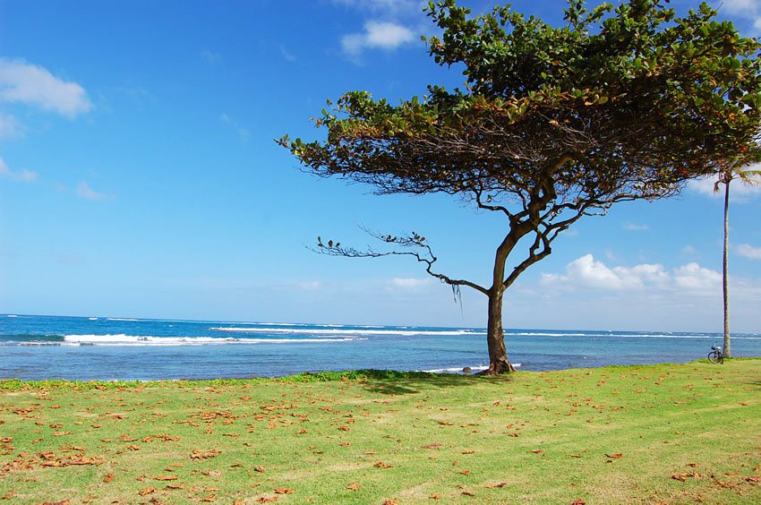 Oceanfront park