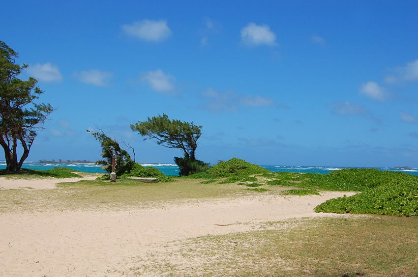 Beach in La'ie